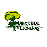 Maestrul Lichenaș